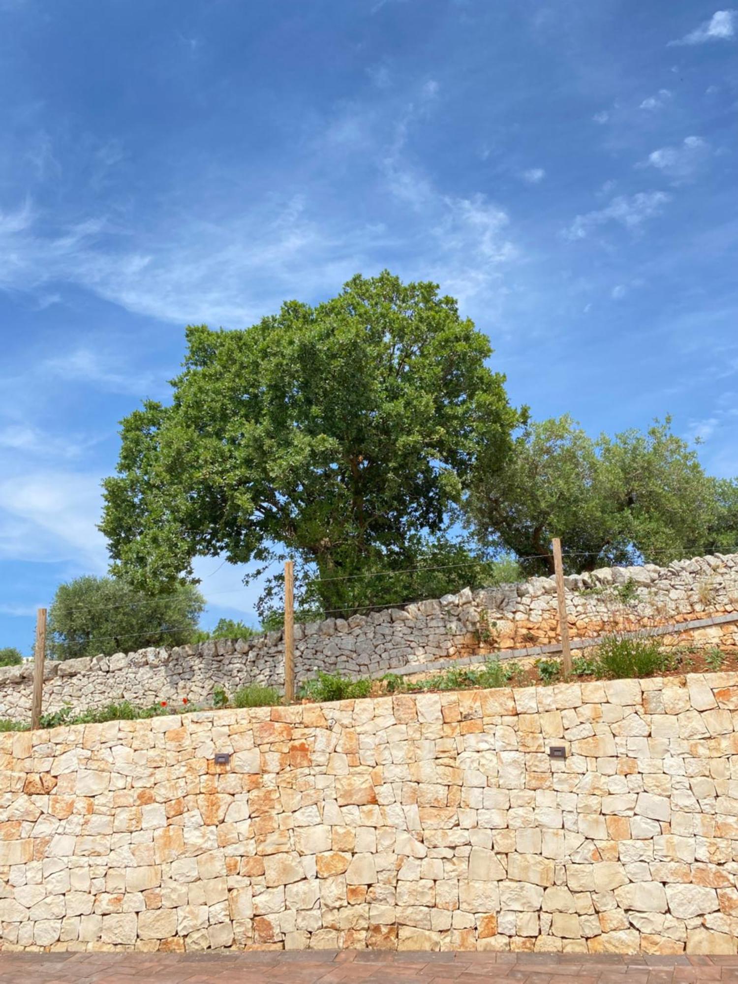 Апартаменти Trulli Mbs By Apulia Hospitality Локоротондо Екстер'єр фото