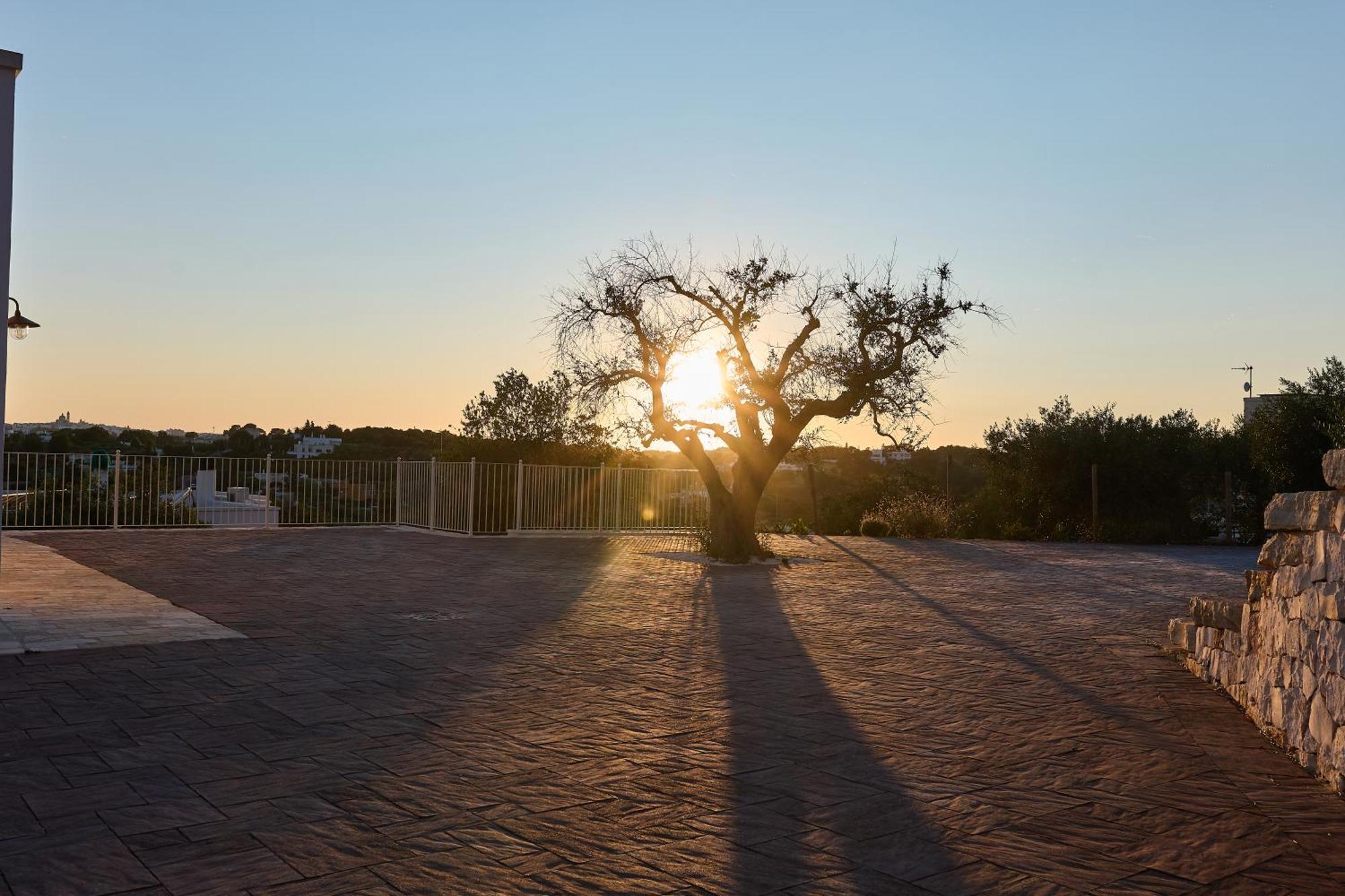 Апартаменти Trulli Mbs By Apulia Hospitality Локоротондо Екстер'єр фото