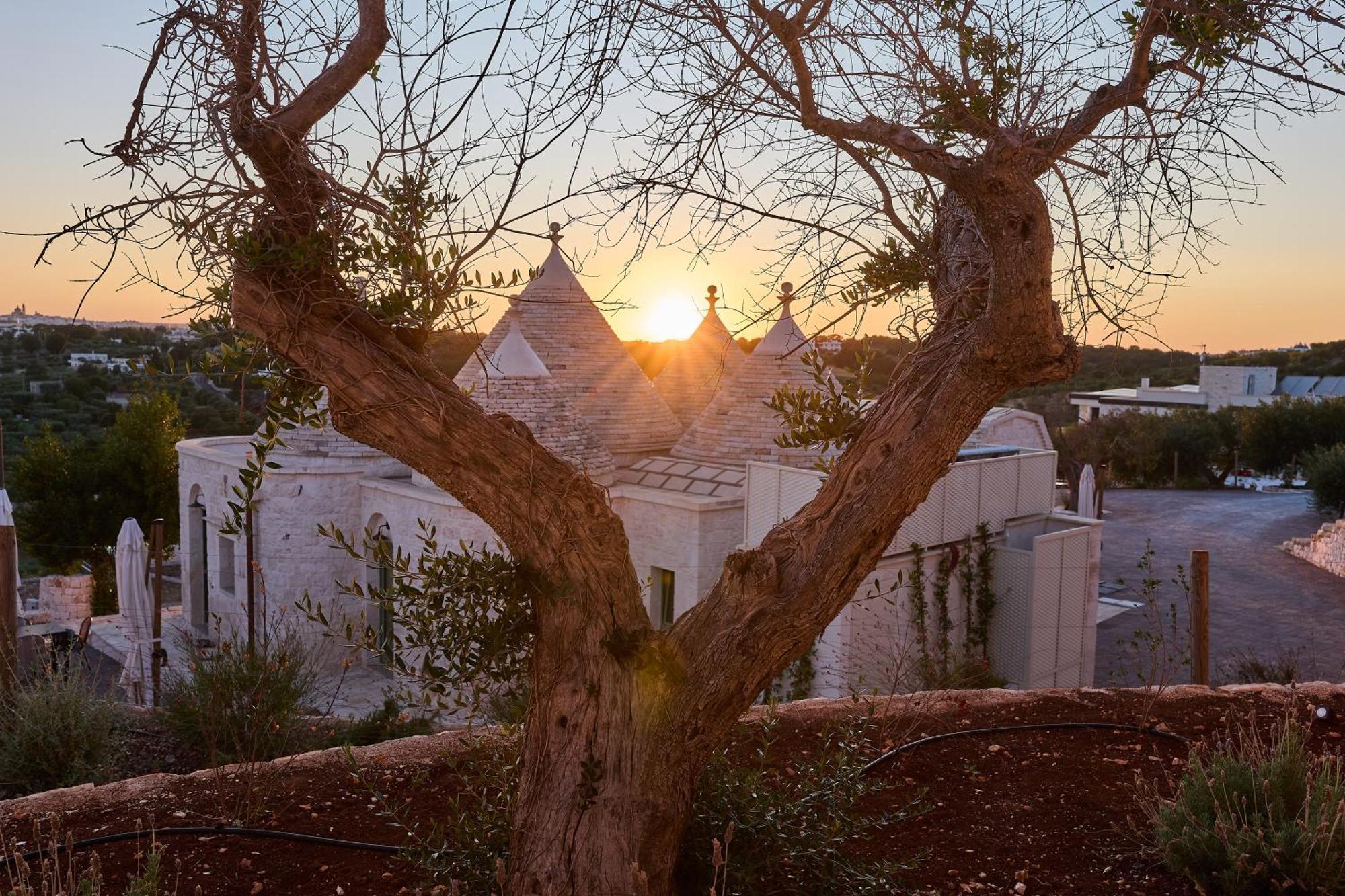 Апартаменти Trulli Mbs By Apulia Hospitality Локоротондо Екстер'єр фото